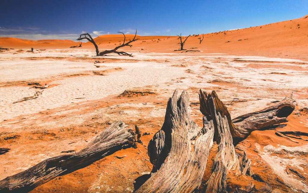 Sossusvlei_2